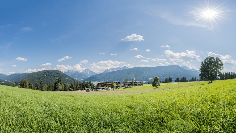 Le foto più belle dell’Alpen Tesitin Prato verde con alberi e montagne sotto un cielo blu con sole