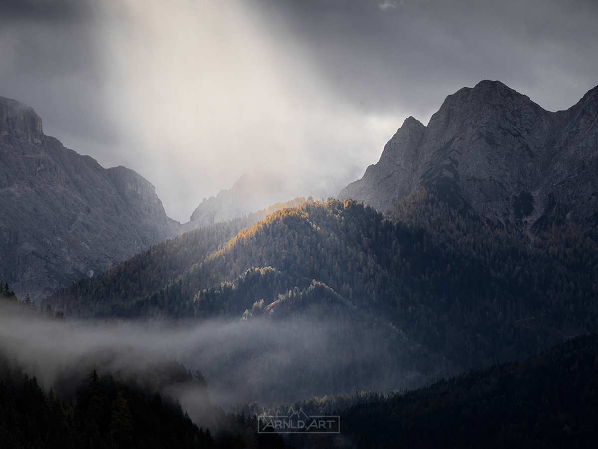 Alpen Tesitin: das sagen unsere Gäste