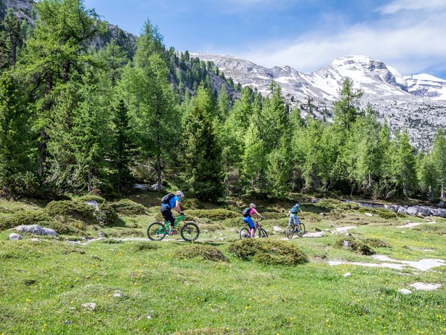 Alpen Tesitin: Ihr Bikehotel im Pustertal