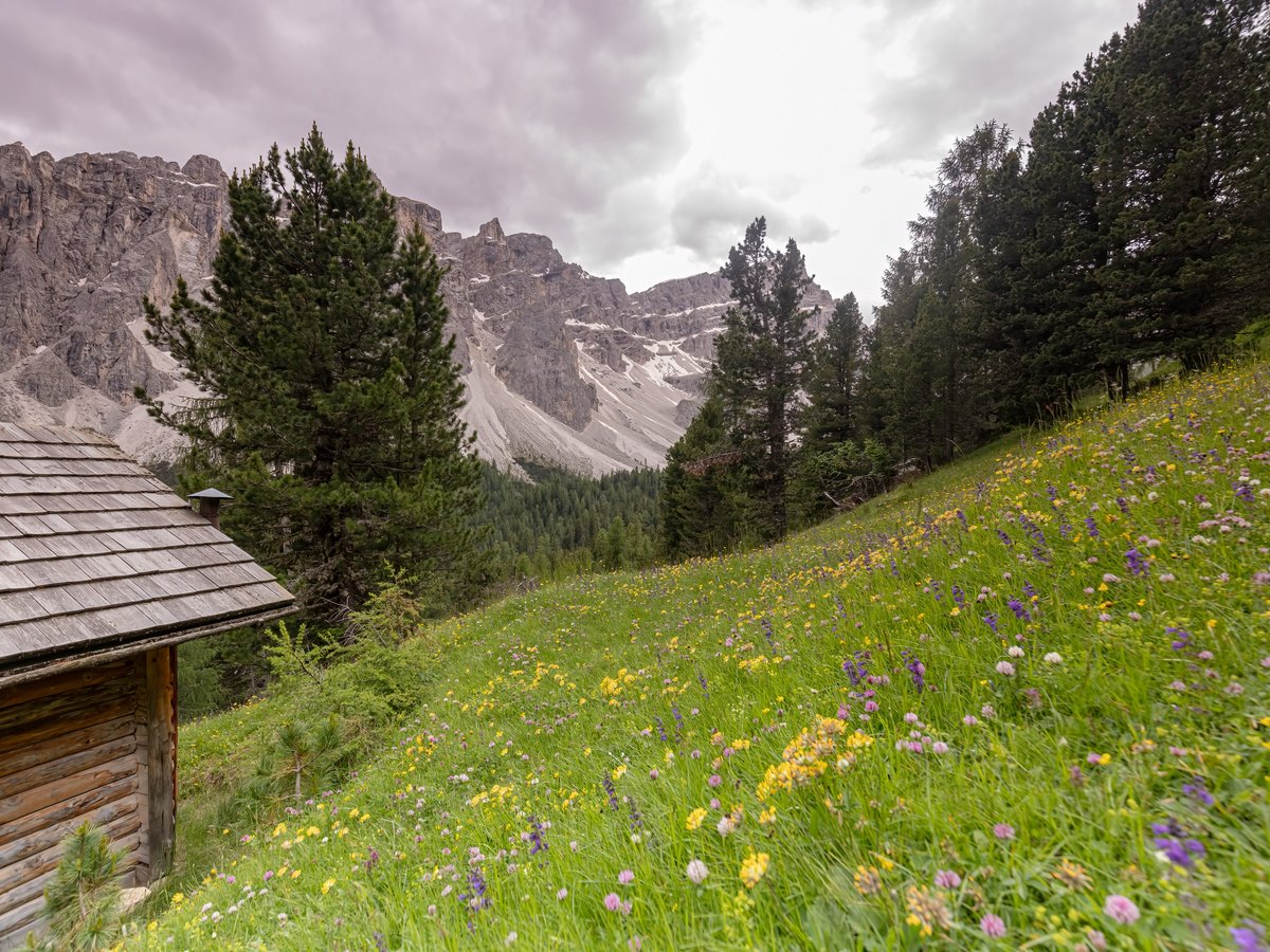 Alpen Tesitin: das sagen unsere Gäste