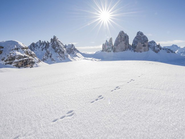 5-Sterne-Sporthotel in Südtirol gesucht?